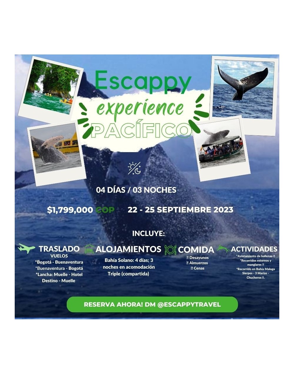 Escappy experience al pacifico