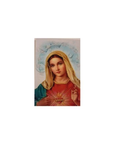 Cuadro sagrado corazon de maria