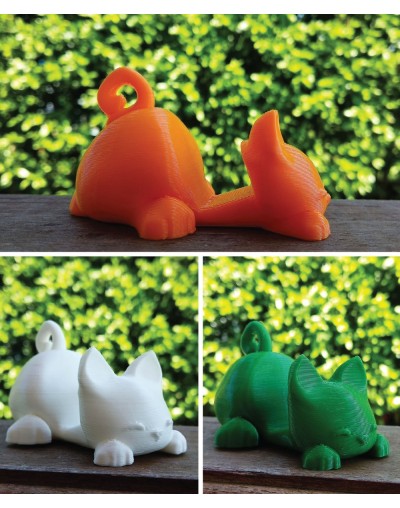 Base celular en impresión 3D  Papel Plantable  Gato