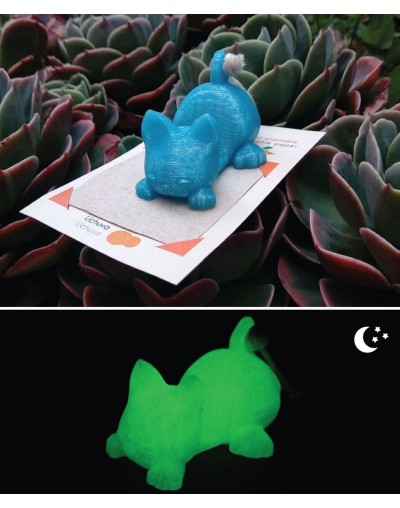 Base celular en impresión 3D  Papel Plantable  Gato