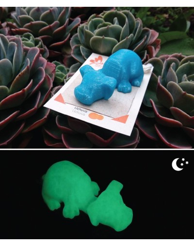 Base celular en impresión 3D  Papel Plantable  Perro