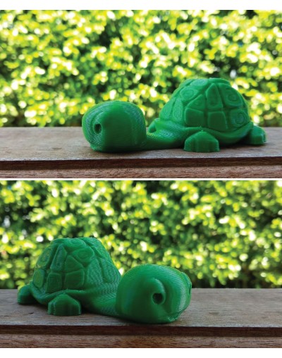 Base celular en impresión 3D  Papel Plantable  Tortuga
