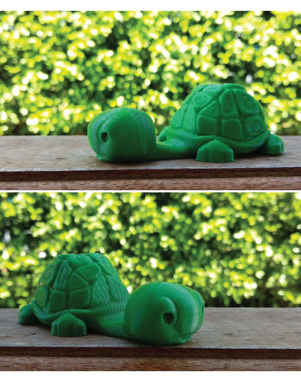 Base celular en impresión 3D  Papel Plantable  Tortuga