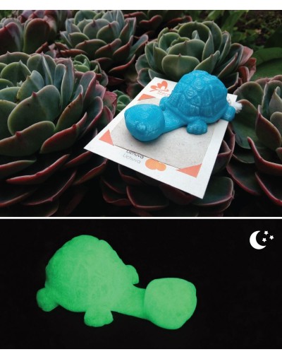 Base celular en impresión 3D  Papel Plantable  Tortuga