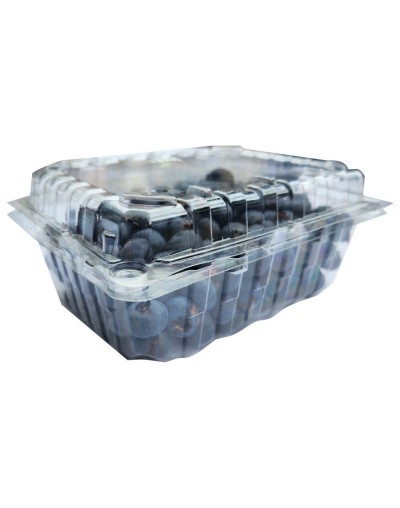 Arándano Premium 500g