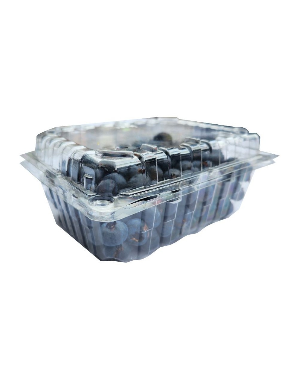 Arándano Premium 500g