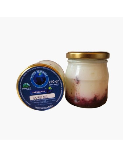 Yogurt griego de arándano sin azúcar de 250ml 100 natural 