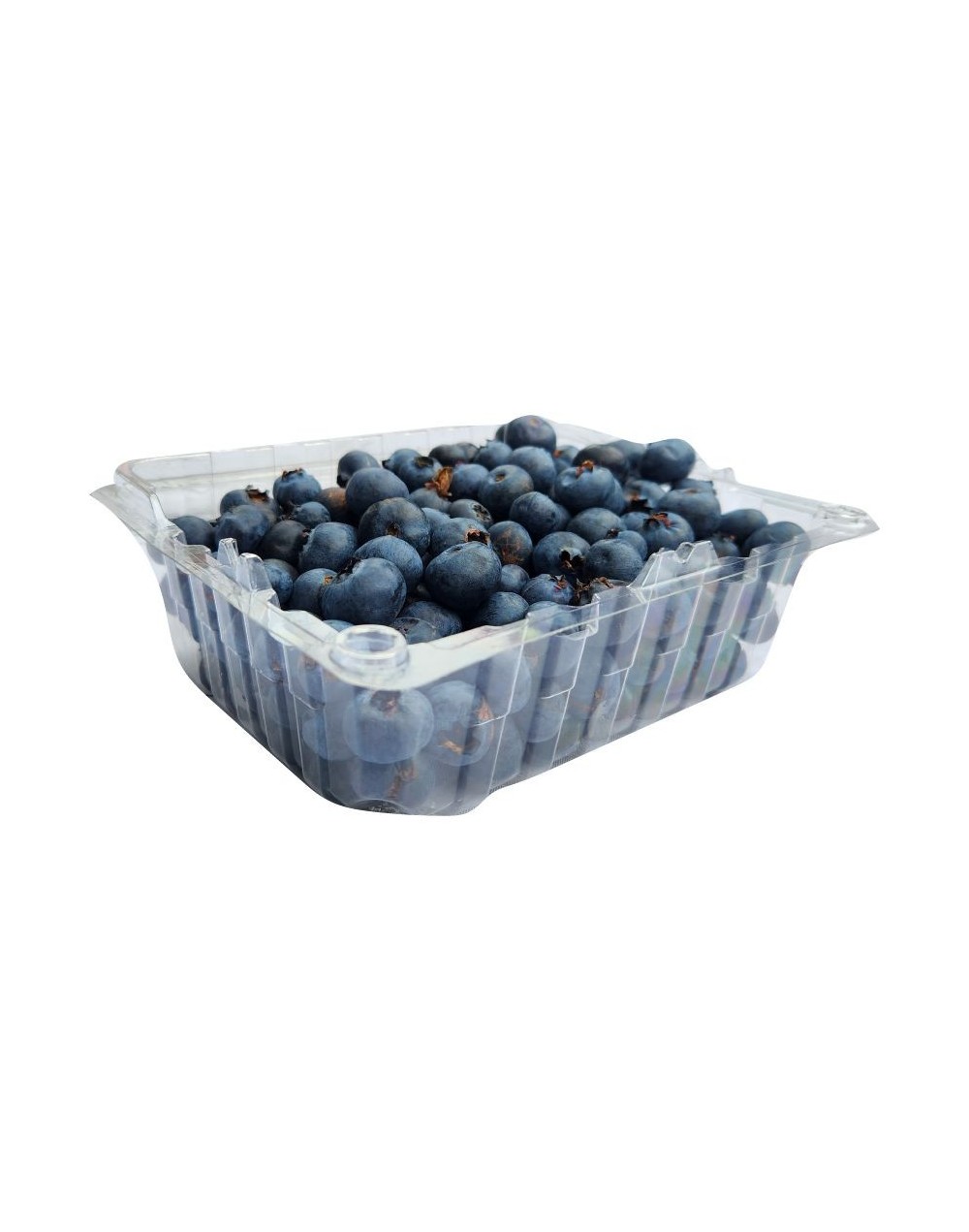 Arándano de primera Premium de 250g