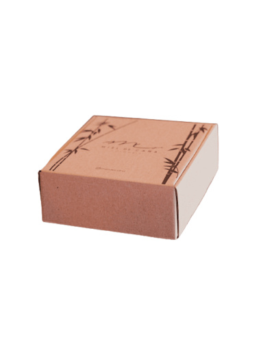 Pie de Limón – Paleta de Helado Artesanal