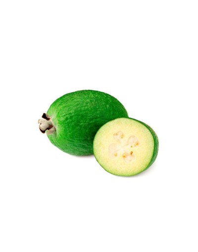 Feijoa