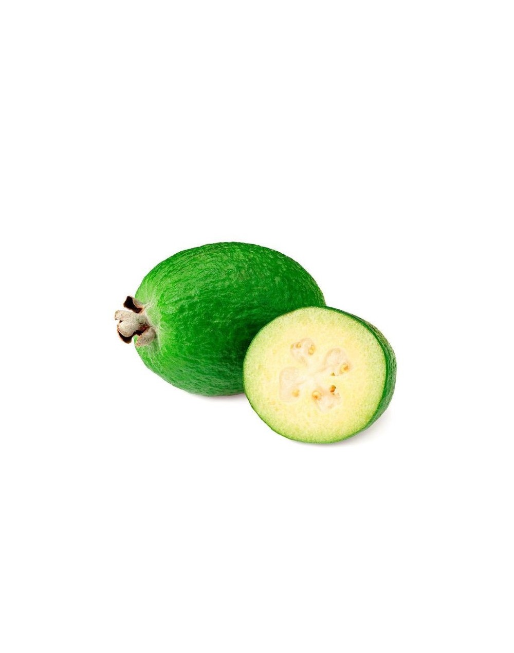 Feijoa