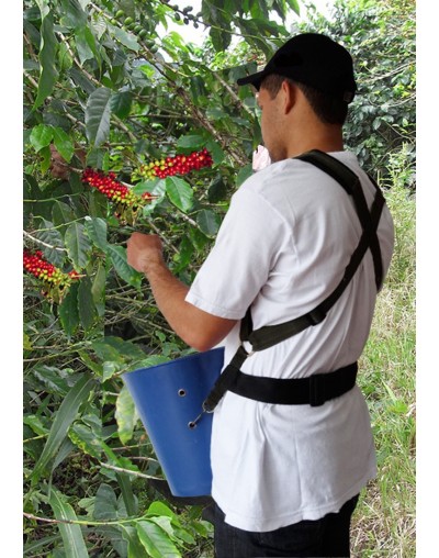 RECOLECTOR AGRÍCOLA