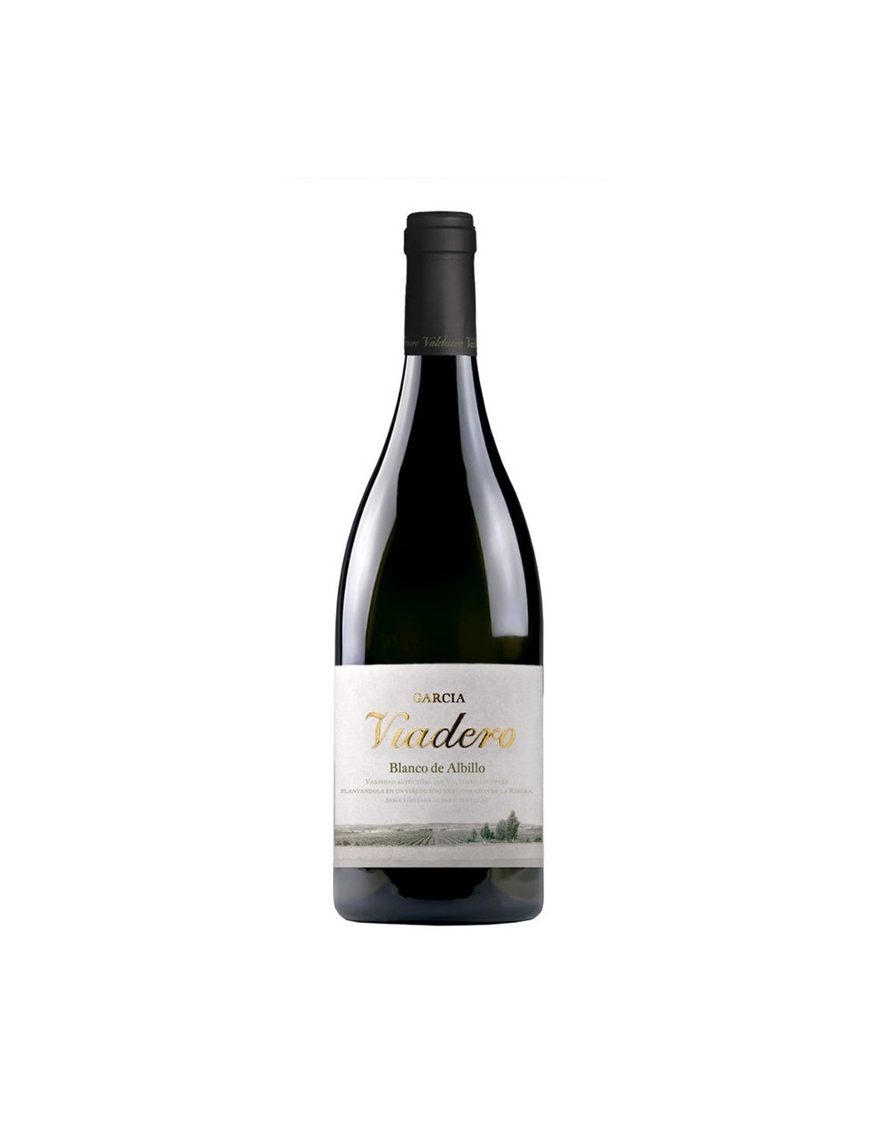 GARCIA VIADERO BLANCO DE ALBILLO 2020