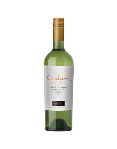 CAMELEON NUVO CHARDONNAYTORRONTES