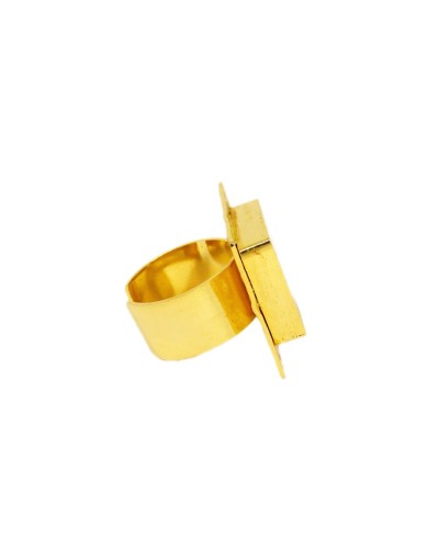 Aretes ref ani009