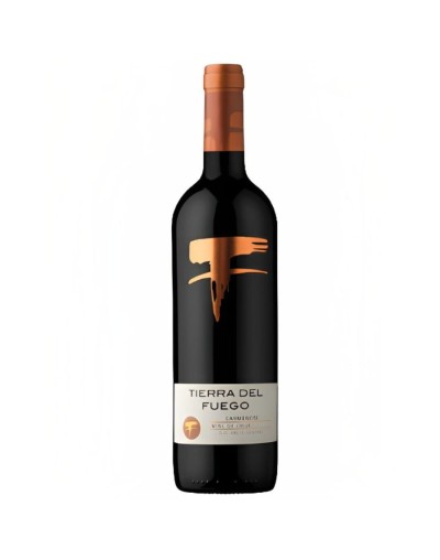 TIERRA DEL FUEGO CLASSIC CARMENERE