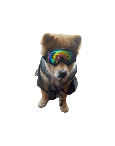 Gafas para perros Dog Glasses