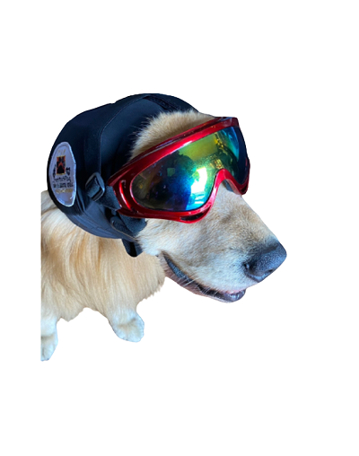 Gafas para perros Dog Glasses