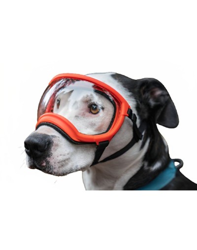 Rex specs 