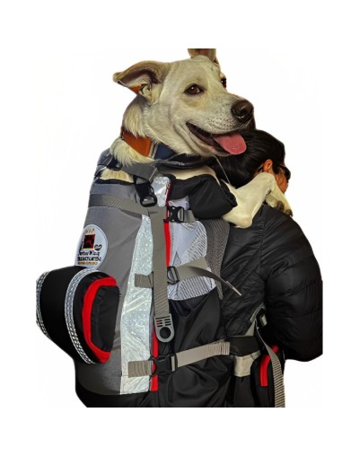Morrales para perro 