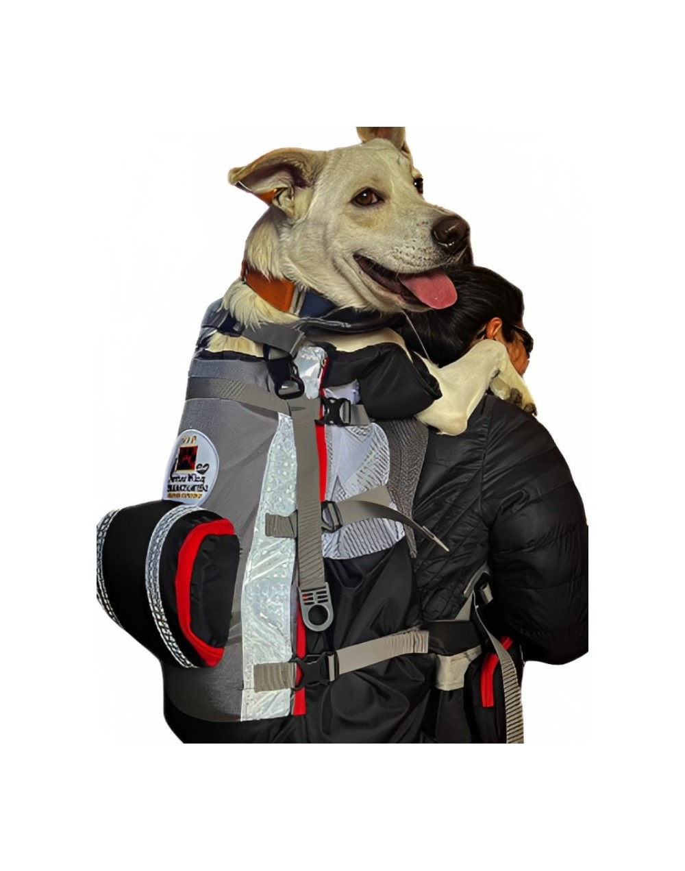 Morrales para perro 