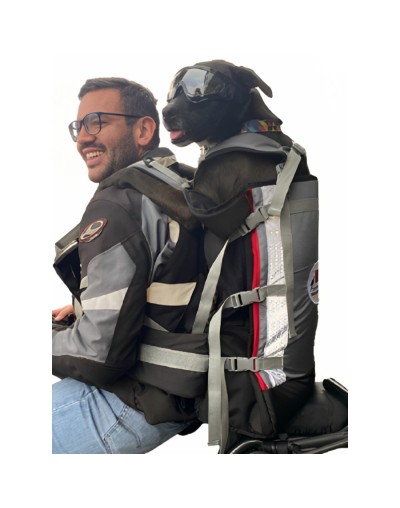 Morrales para perro 