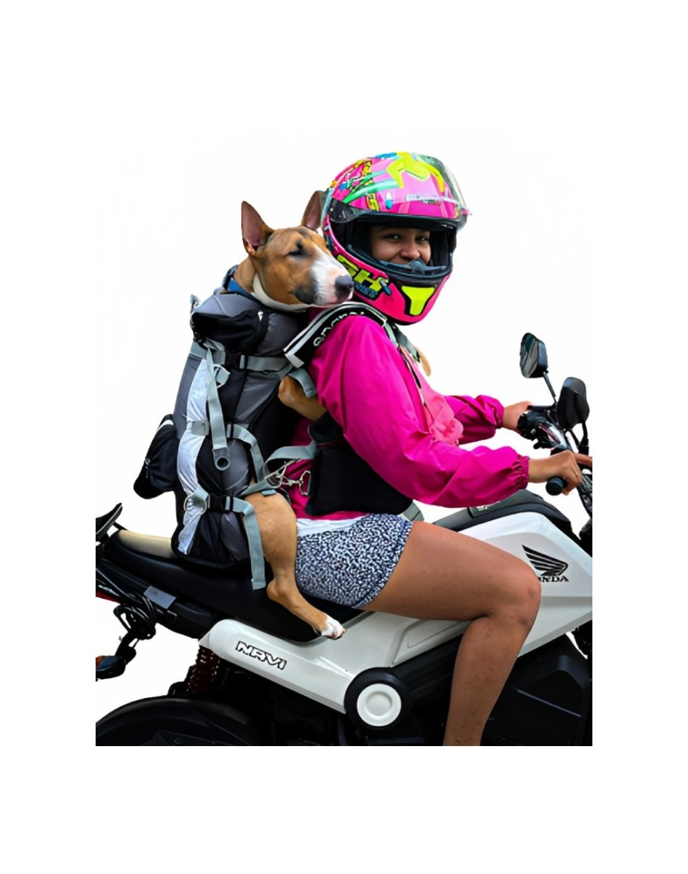 Maletas para perro