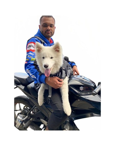 Maletas para perro