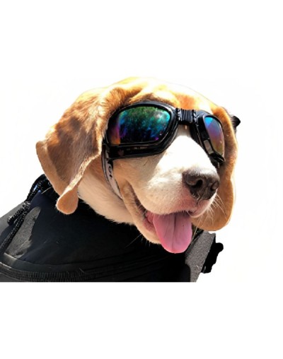 Gafas para perro pequeño