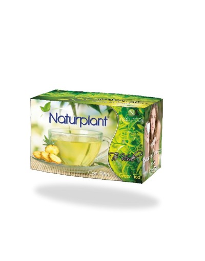 Té verde Naturplant x25 tisanas