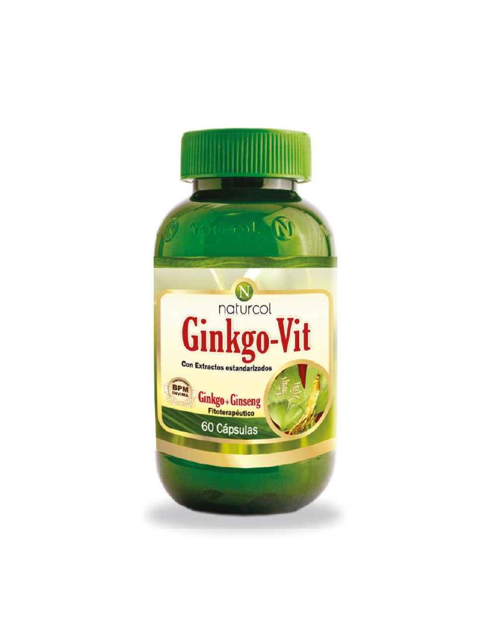 Ginkgovit x60