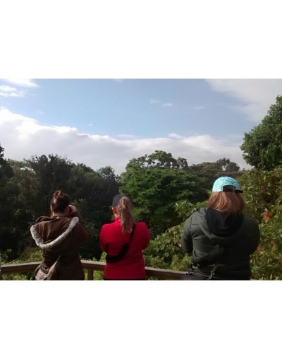 Un jardín de aves
