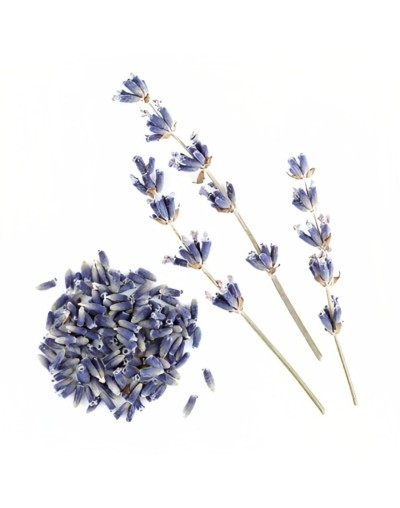 Flores de lavanda 20 gr
