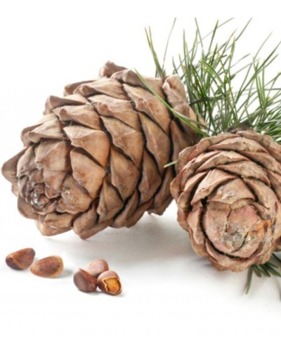 Aceite esencial de cedro 10 ml