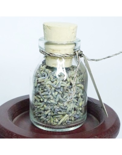 Flores de Lavanda