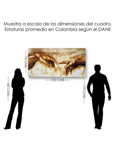Creación y creador