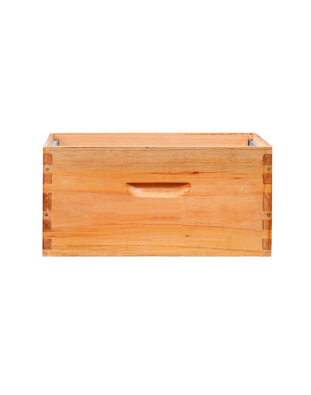 Cámara de cría vacía