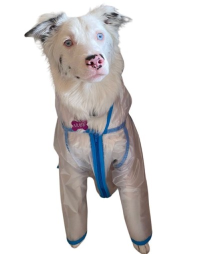 Capas para mascotas