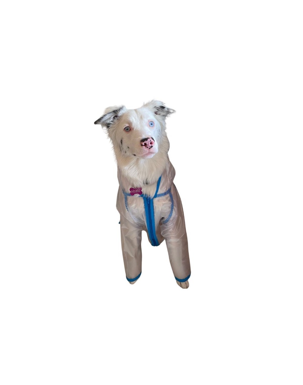 Capas para mascotas