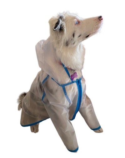 Capas para mascotas