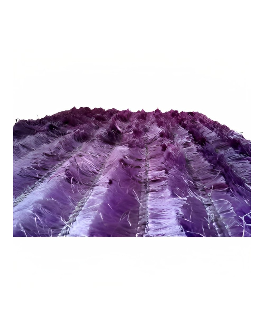 Tapete Decorativo Visión 150 X 220 cm Morado