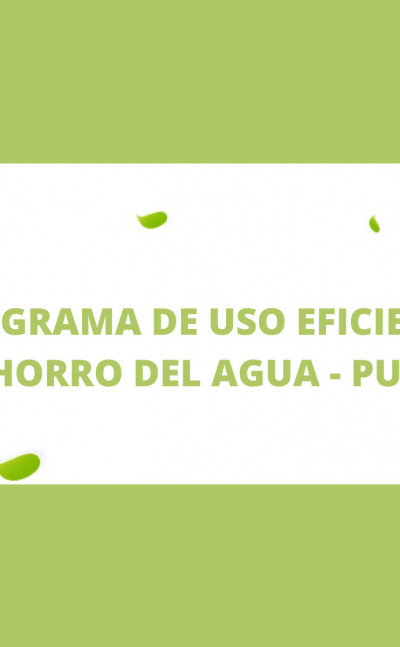 Programa de uso eficiente y ahorro del agua – PUEAA