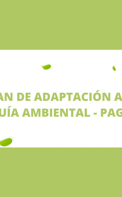 Plan de adaptación a la guía  ambiental - PAGA