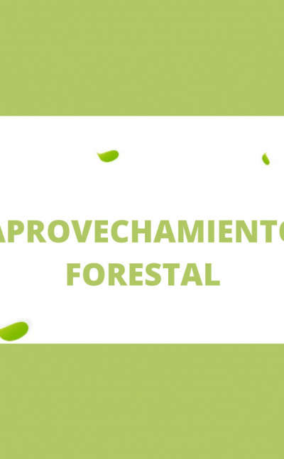 Aprovechamiento forestal