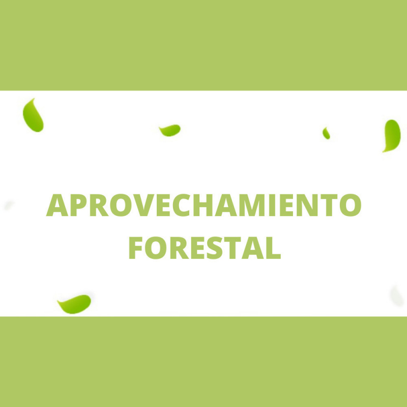 Aprovechamiento forestal