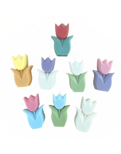 Vela tulipanes