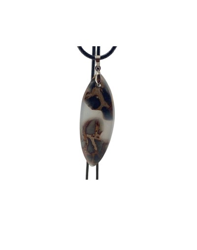 Collar RefCOO10620