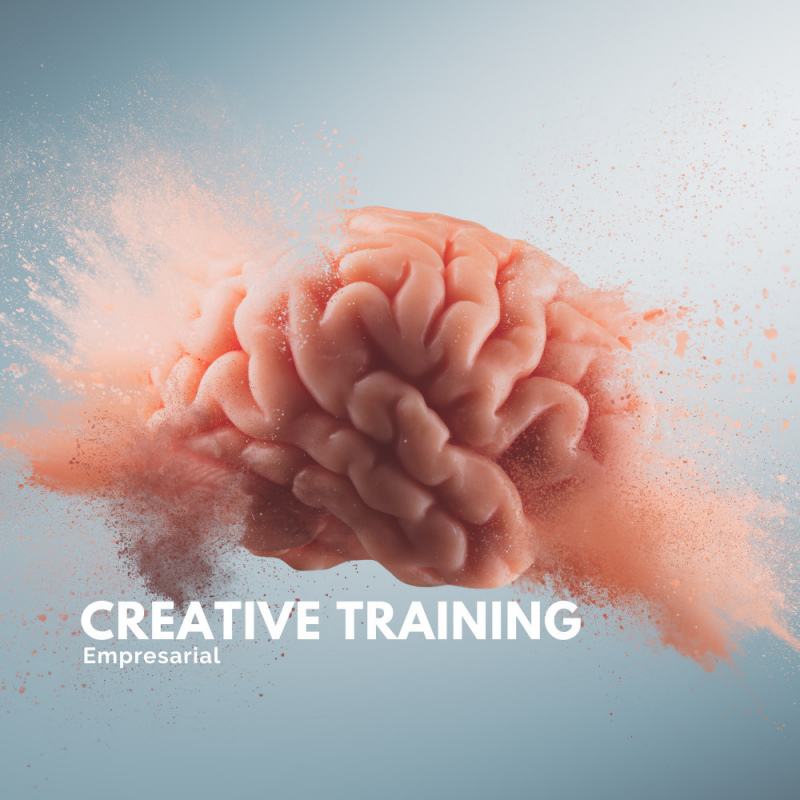 Creative Training Empresarial 