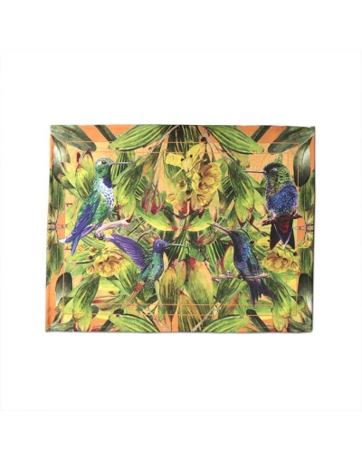 Juego x 6 individuales colibríes