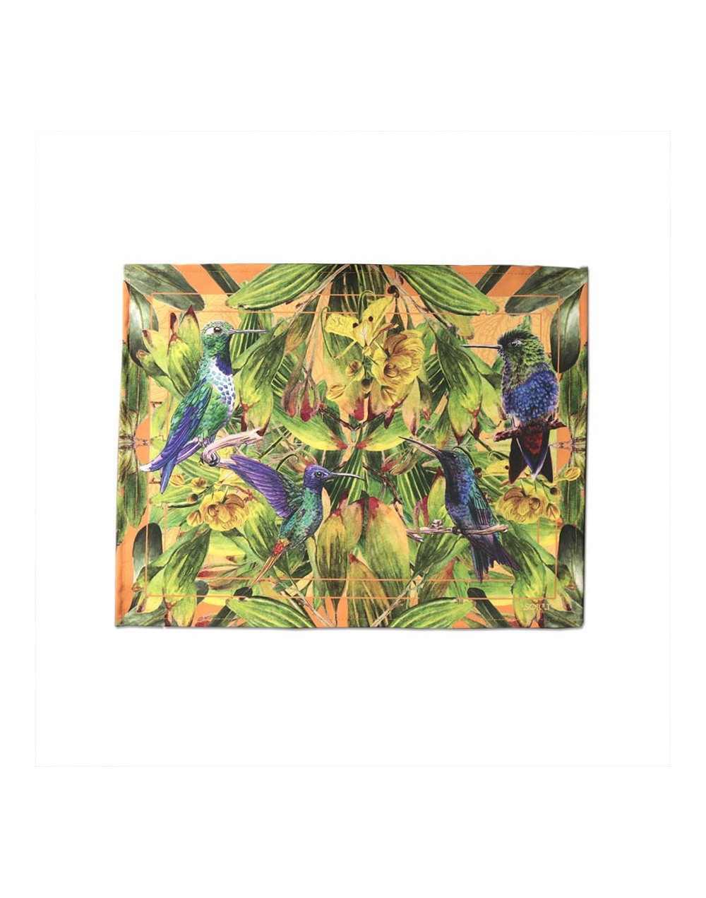 Juego x 6 individuales colibríes